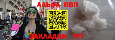 дмт Кингисепп