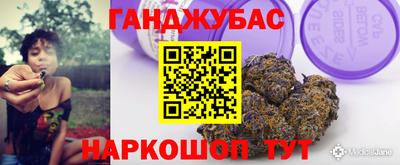 дмт Кингисепп