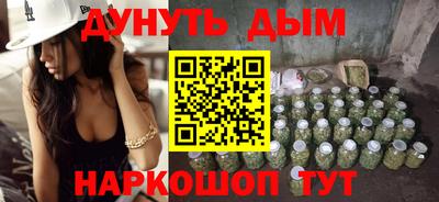 дмт Кингисепп