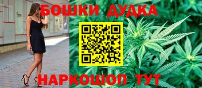 дмт Кингисепп