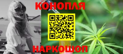 дмт Кингисепп