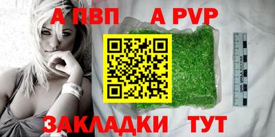 дмт Кингисепп