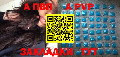 дмт Кингисепп